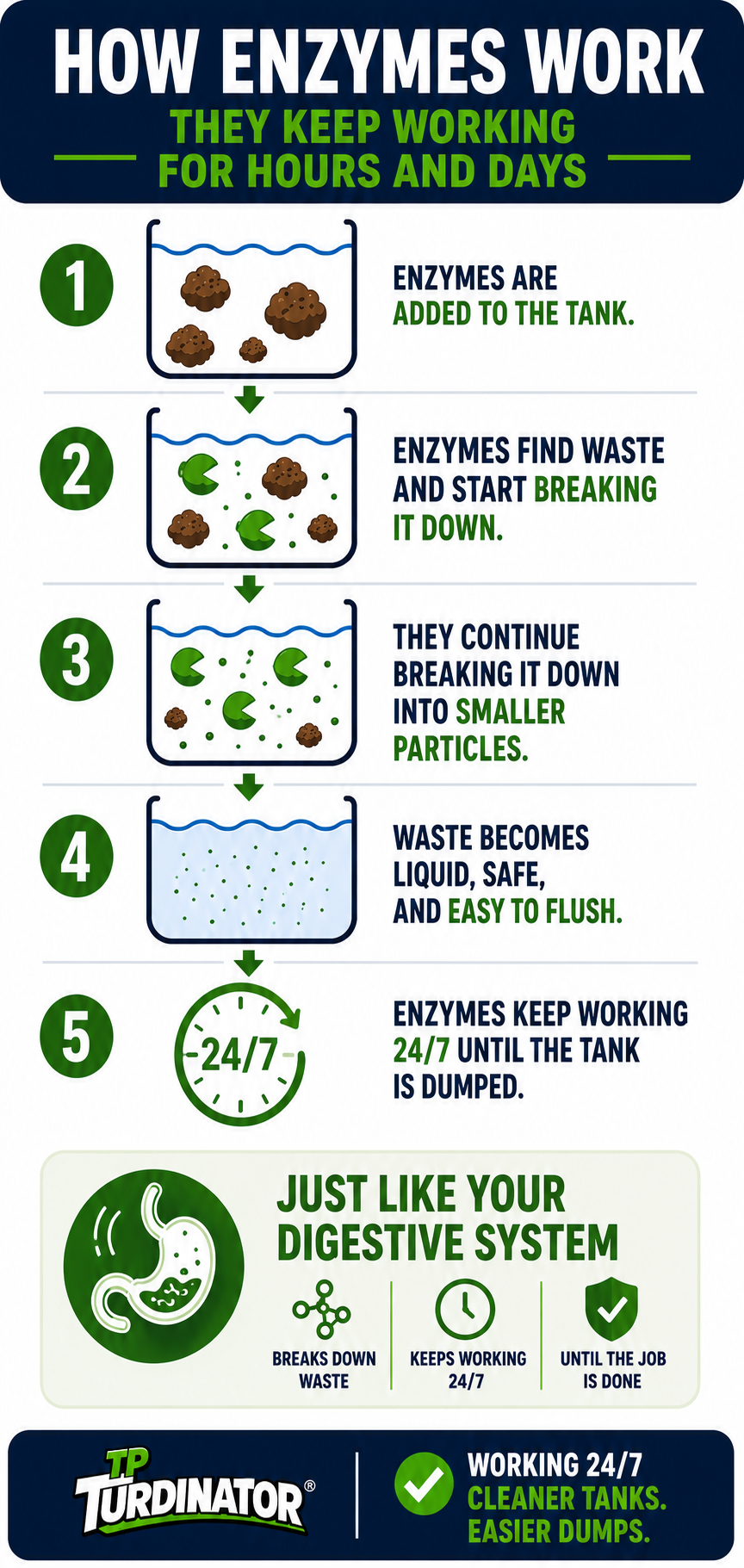 How Enzymes Work